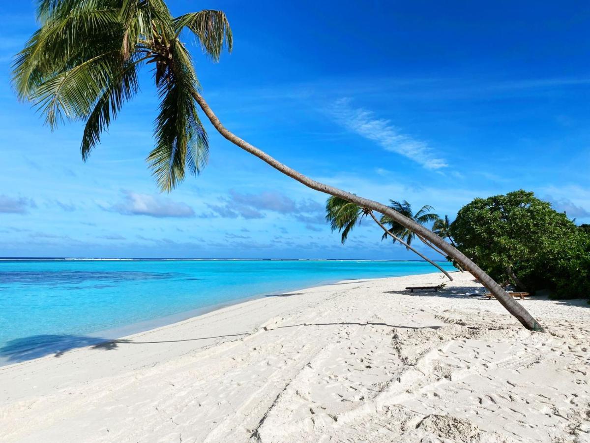 Serene Sky Guest House Thoddoo Exterior photo